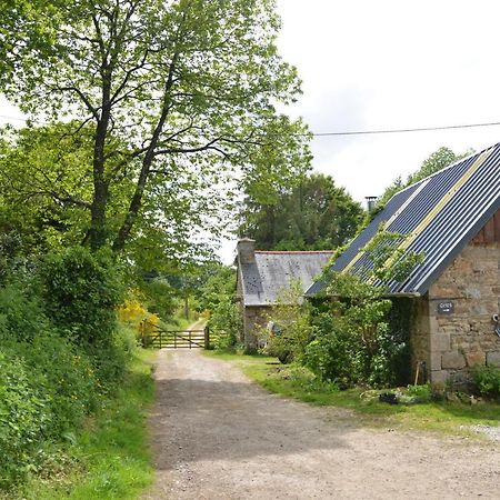 Kerollivier Villa Canihuel Exteriör bild